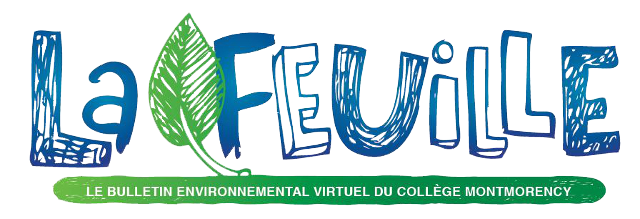 logo la feuille