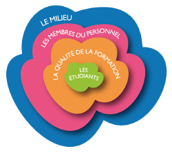 fleur-plan-strategique-web