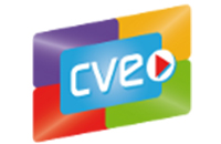 17.CVE