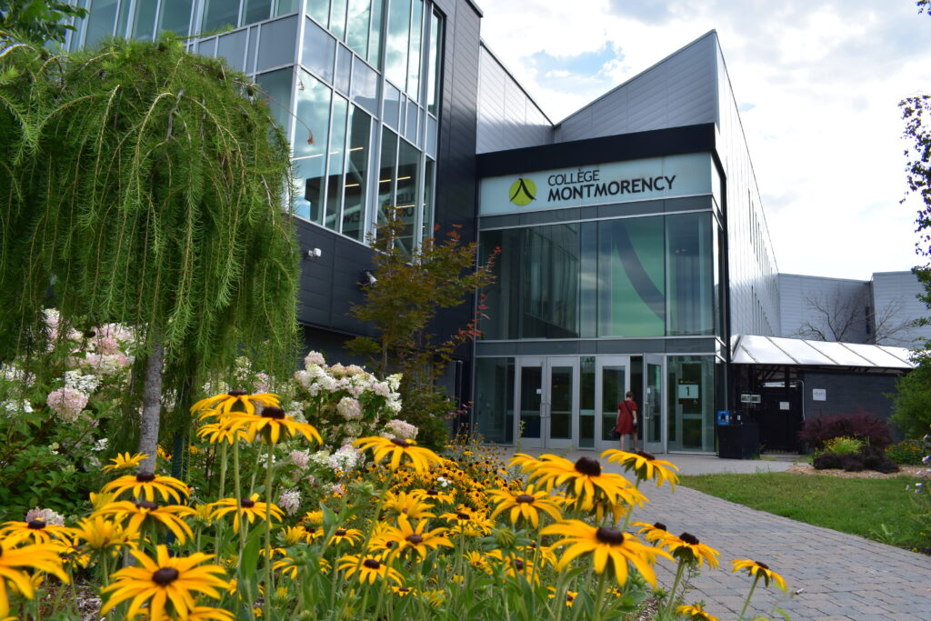 college montmorency