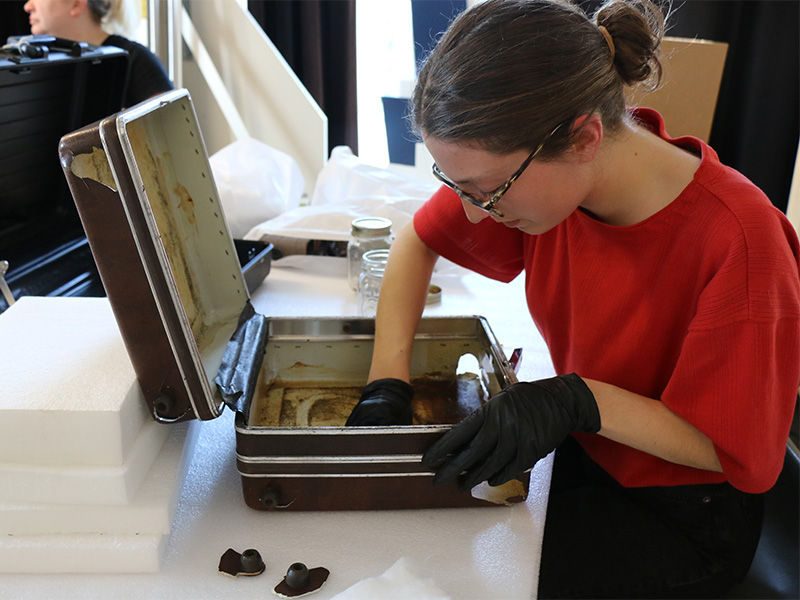 Le programme de Techniques de muséologie à l’honneur dans le nouveau