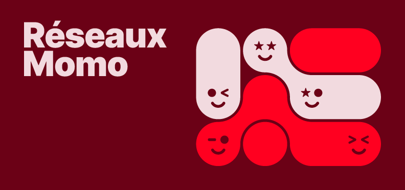 Logo Réseaux momo